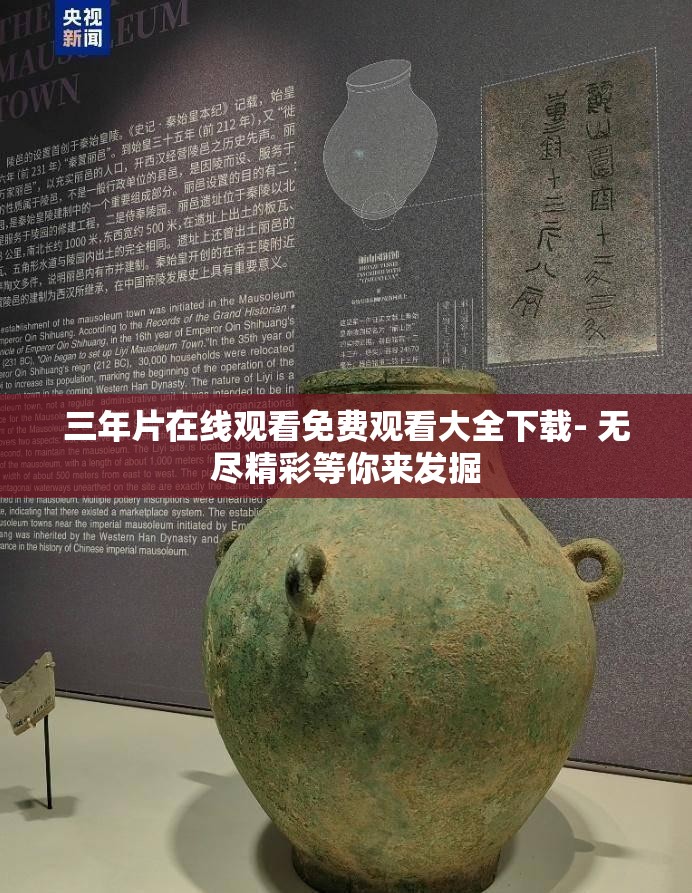 三年片在线观看免费观看大全下载- 无尽精彩等你来发掘