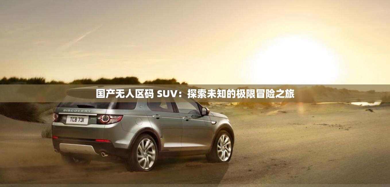 国产无人区码 SUV：探索未知的极限冒险之旅