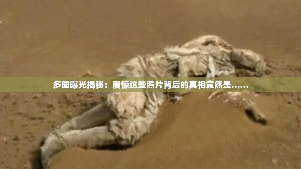 多图曝光揭秘：震惊这些照片背后的真相竟然是……