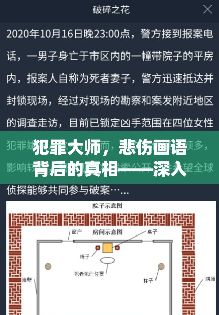 犯罪大师，悲伤画语背后的真相——深入剖析凶手与案件细节