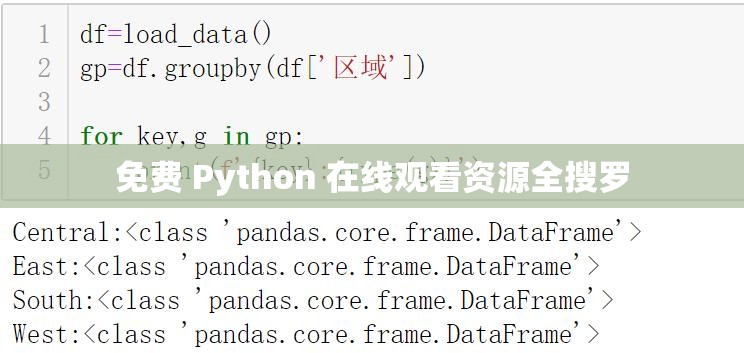 免费 Python 在线观看资源全搜罗