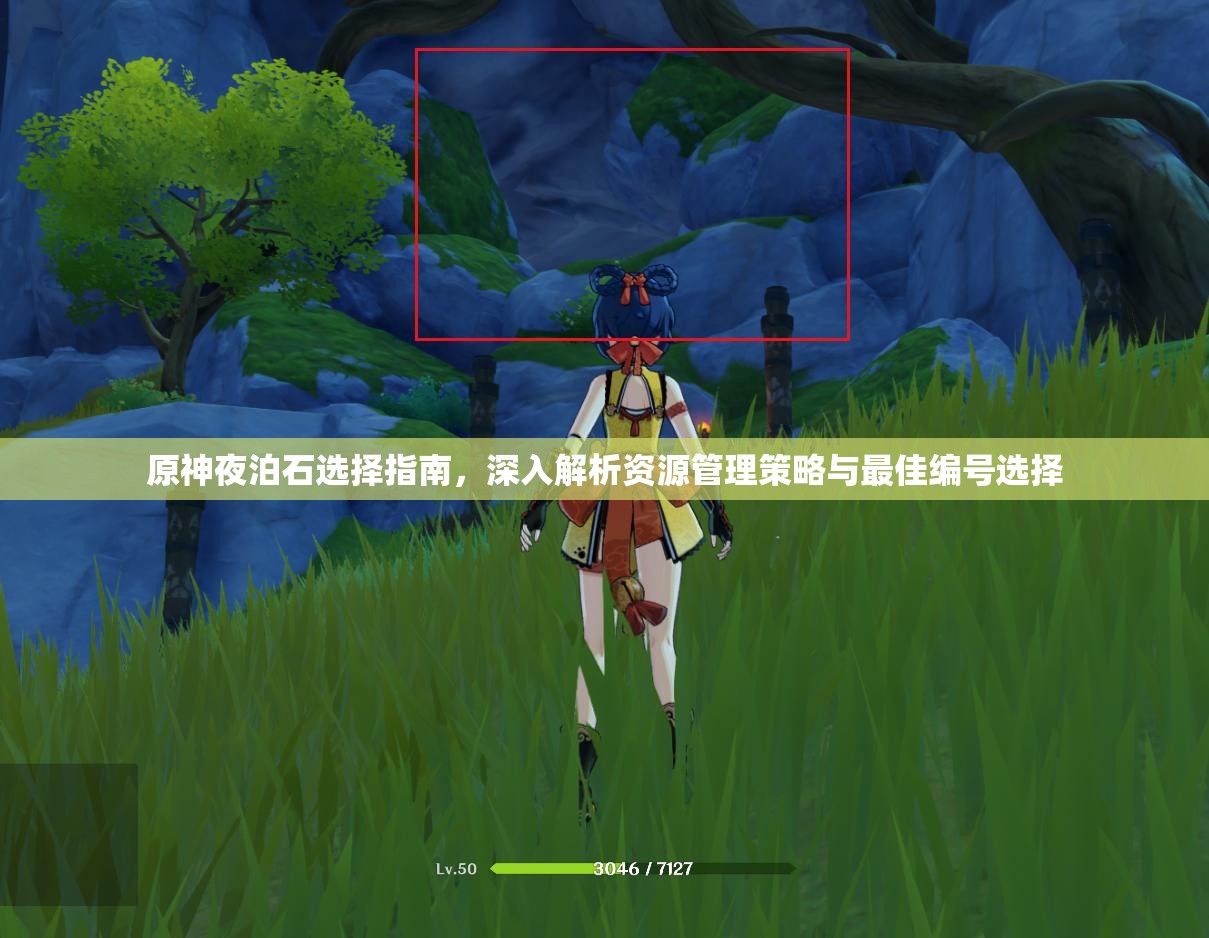 原神夜泊石选择指南，深入解析资源管理策略与最佳编号选择