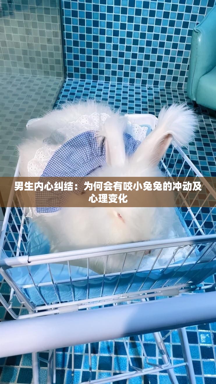 男生内心纠结：为何会有咬小兔兔的冲动及心理变化