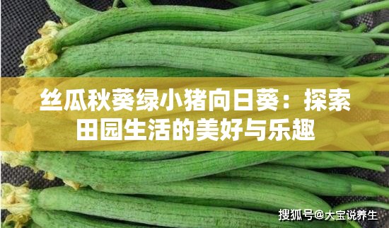 丝瓜秋葵绿小猪向日葵：探索田园生活的美好与乐趣