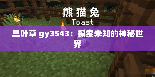 三叶草 gy3543：探索未知的神秘世界