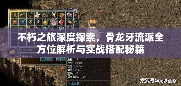 不朽之旅深度探索，骨龙牙流派全方位解析与实战搭配秘籍