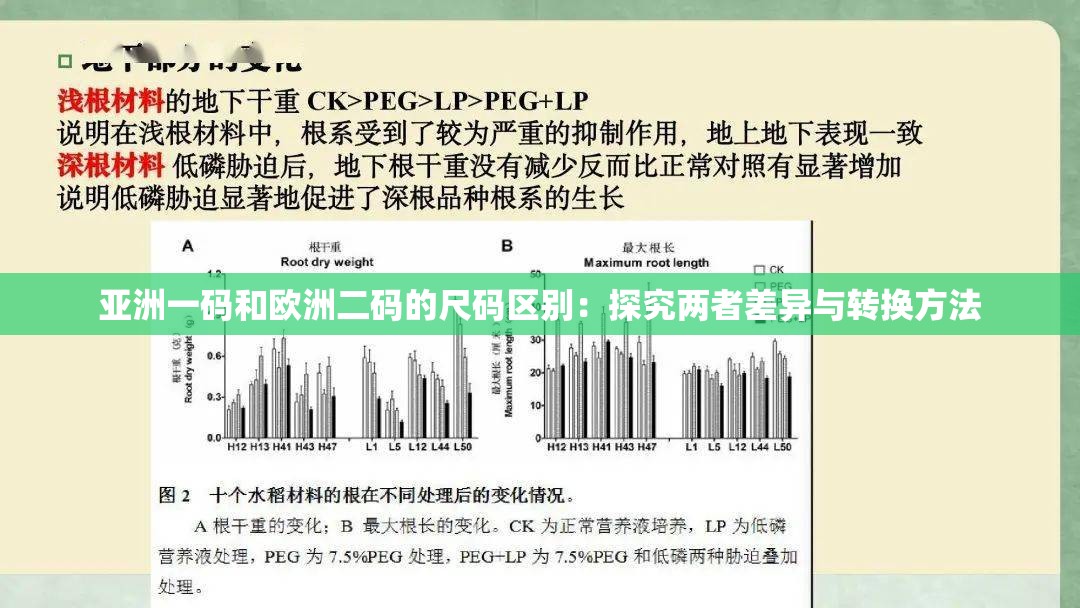 亚洲一码和欧洲二码的尺码区别：探究两者差异与转换方法