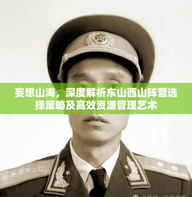 妄想山海，深度解析东山西山阵营选择策略及高效资源管理艺术