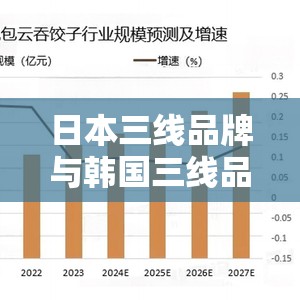 日本三线品牌与韩国三线品牌对比-探究其差异与共性