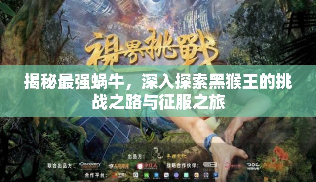 揭秘最强蜗牛，深入探索黑猴王的挑战之路与征服之旅