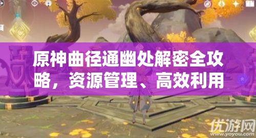 原神曲径通幽处解密全攻略，资源管理、高效利用技巧及避免浪费策略