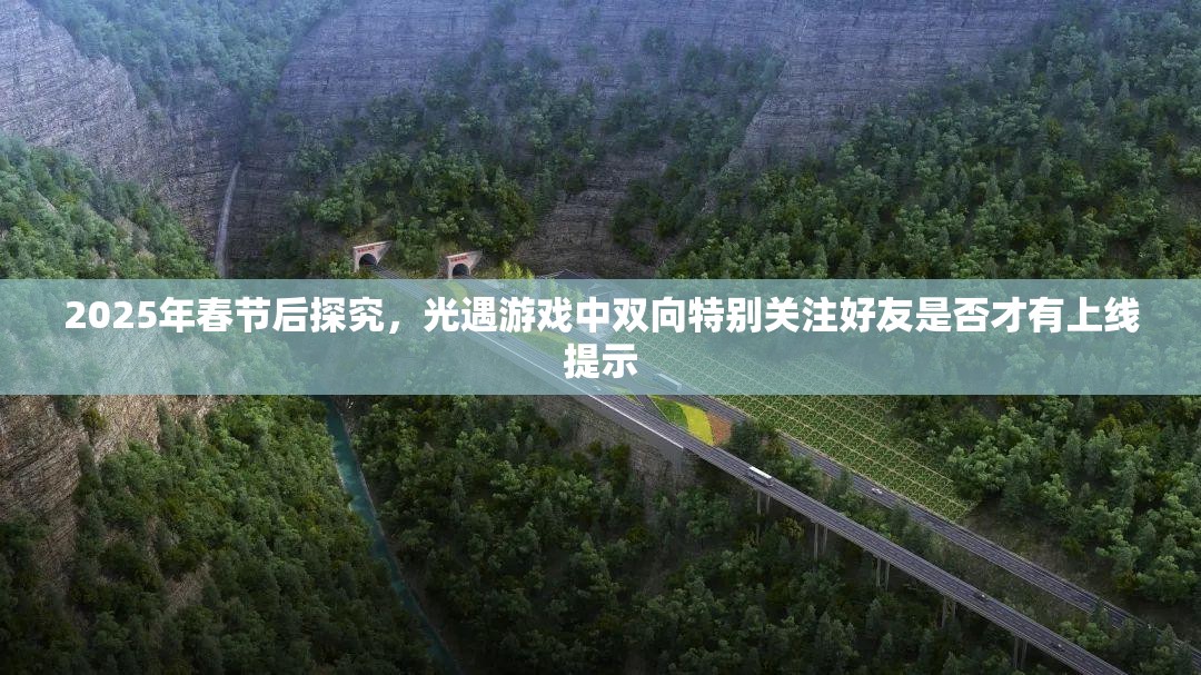 2025年春节后探究，光遇游戏中双向特别关注好友是否才有上线提示