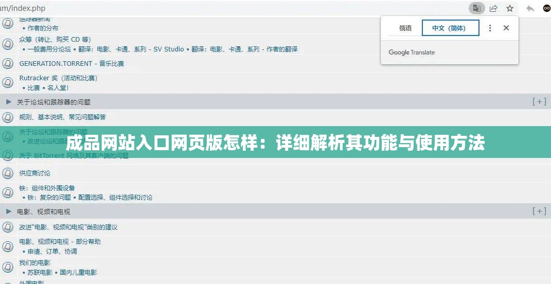 成品网站入口网页版怎样：详细解析其功能与使用方法