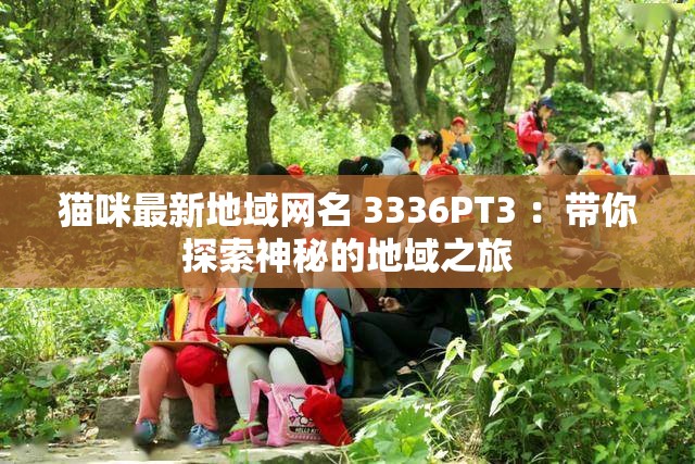 猫咪最新地域网名 3336PT3 ：带你探索神秘的地域之旅