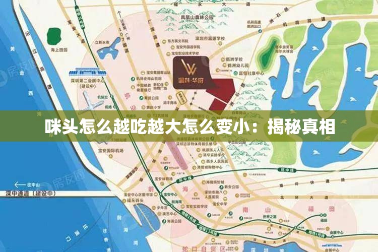 咪头怎么越吃越大怎么变小：揭秘真相