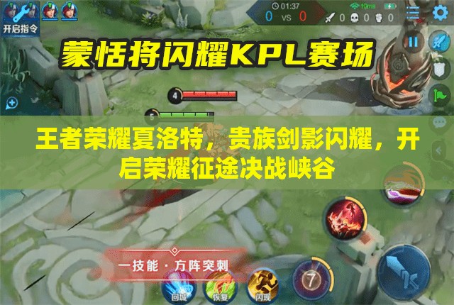 王者荣耀夏洛特，贵族剑影闪耀，开启荣耀征途决战峡谷