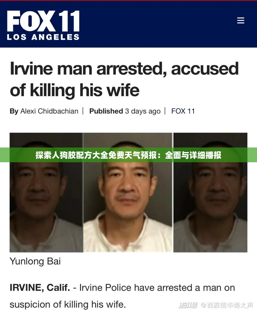 探索人狗胶配方大全免费天气预报：全面与详细播报