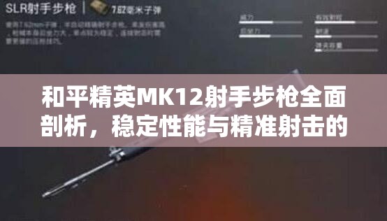 和平精英MK12射手步枪全面剖析，稳定性能与精准射击的终极融合