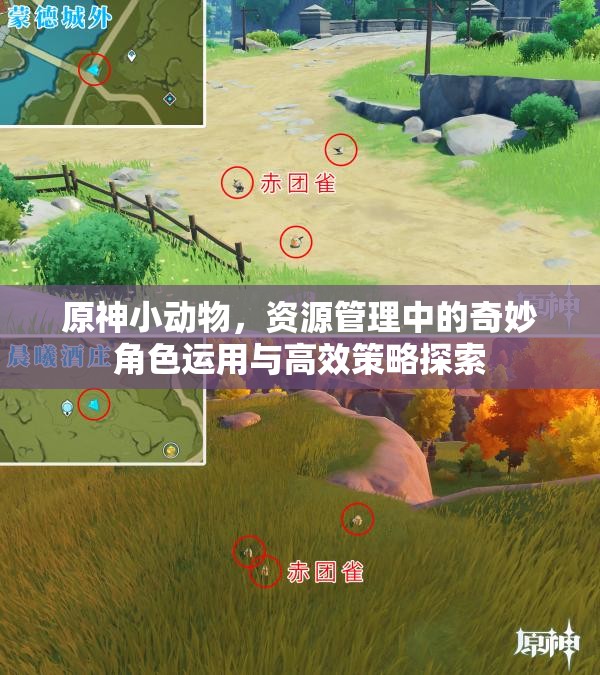 原神小动物，资源管理中的奇妙角色运用与高效策略探索