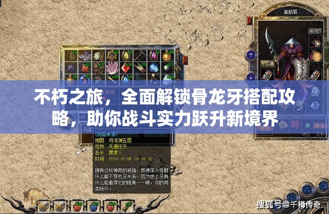 不朽之旅，全面解锁骨龙牙搭配攻略，助你战斗实力跃升新境界
