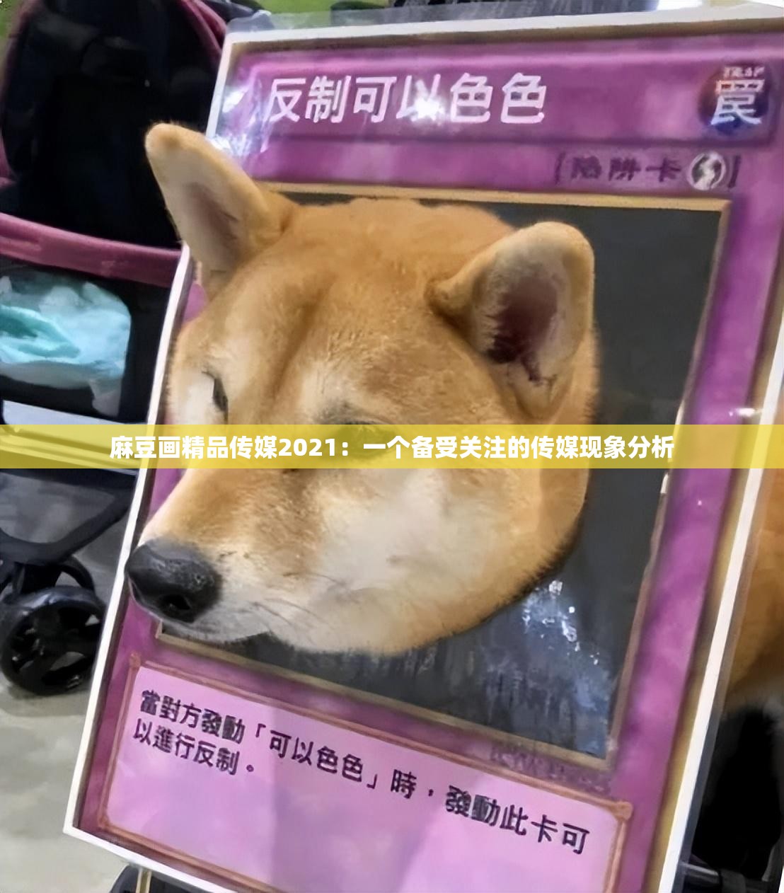 麻豆画精品传媒2021：一个备受关注的传媒现象分析