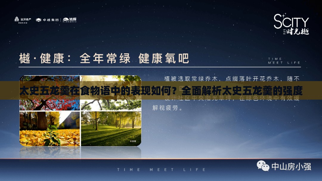 太史五龙羹在食物语中的表现如何？全面解析太史五龙羹的强度