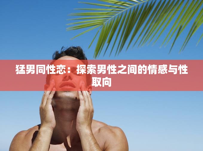 猛男同性恋：探索男性之间的情感与性取向