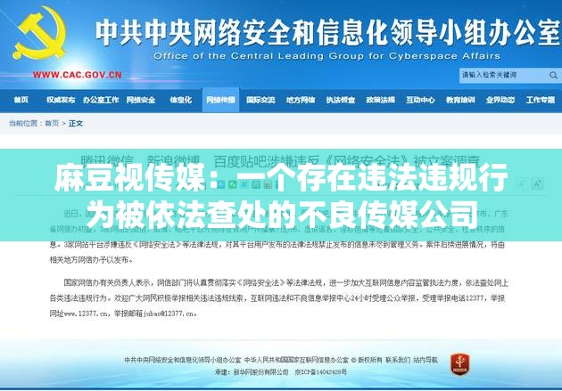 麻豆视传媒：一个存在违法违规行为被依法查处的不良传媒公司