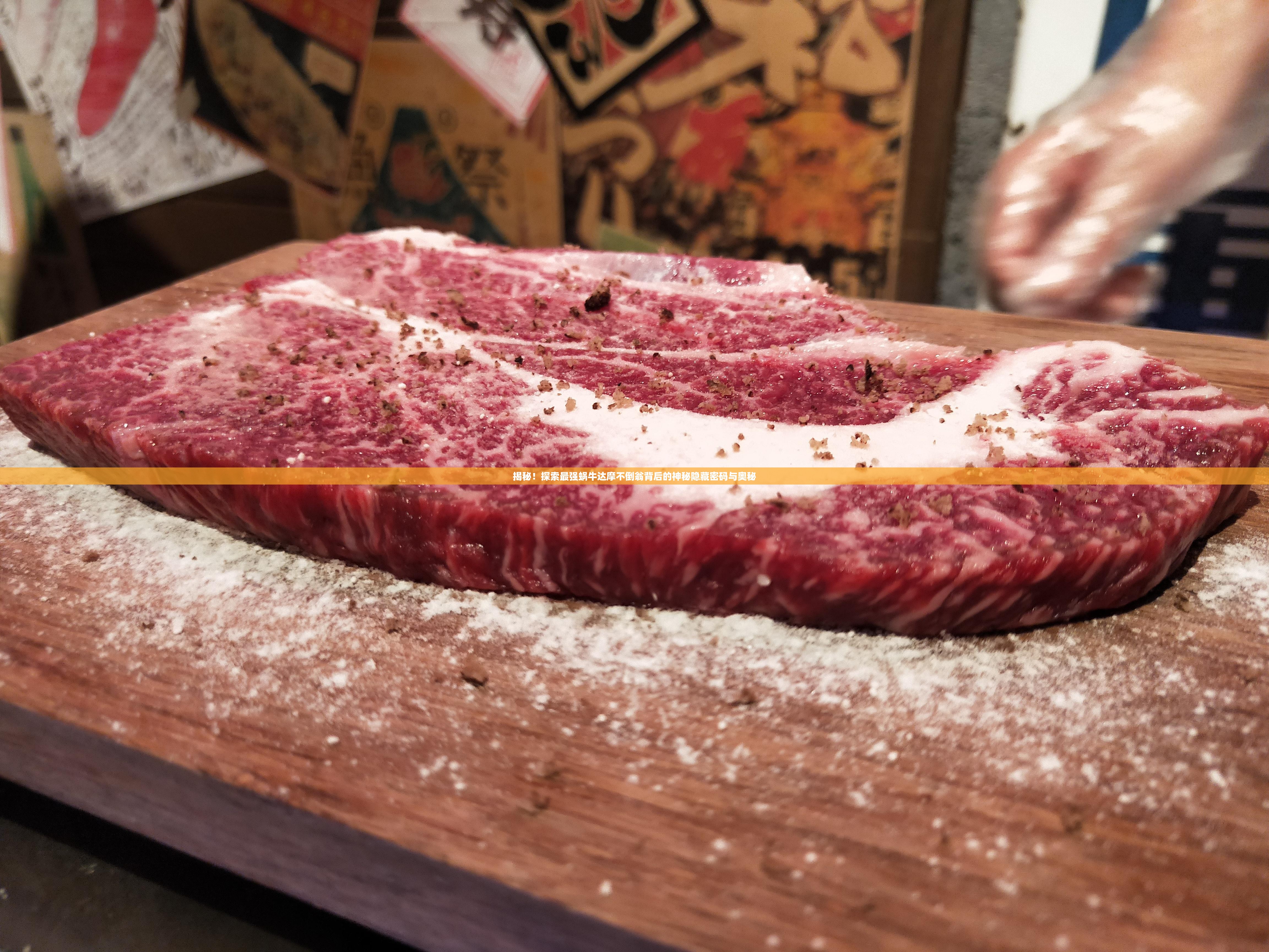 揭秘！探索最强蜗牛达摩不倒翁背后的神秘隐藏密码与奥秘