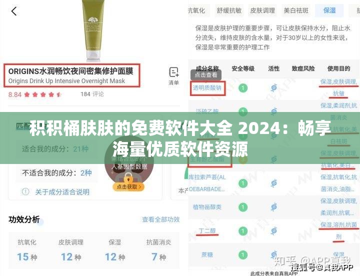 积积桶肤肤的免费软件大全 2024：畅享海量优质软件资源