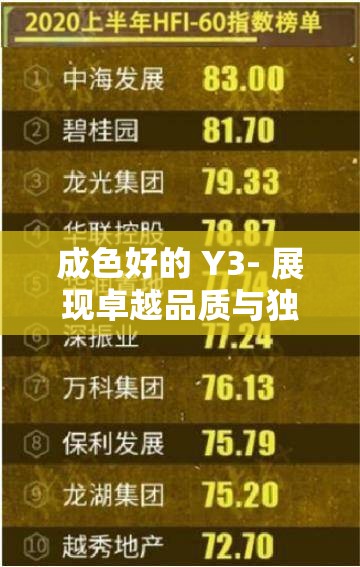 成色好的 Y3- 展现卓越品质与独特魅力的时尚之选