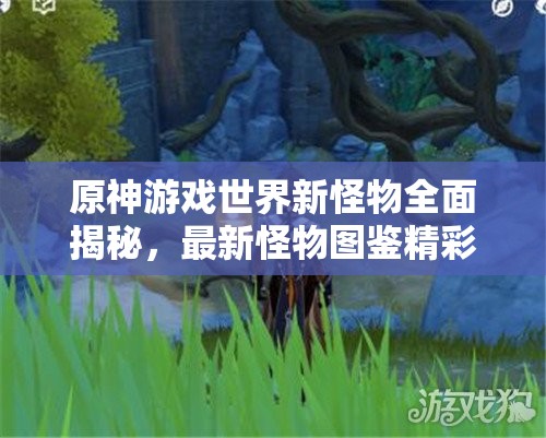 原神游戏世界新怪物全面揭秘，最新怪物图鉴精彩内容与您分享