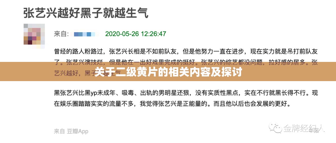 关于二级黄片的相关内容及探讨