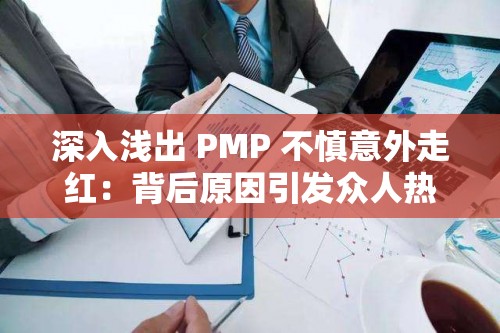 深入浅出 PMP 不慎意外走红：背后原因引发众人热议