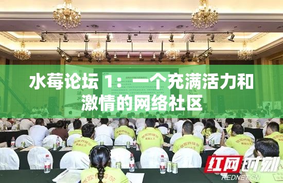 水莓论坛 1：一个充满活力和激情的网络社区