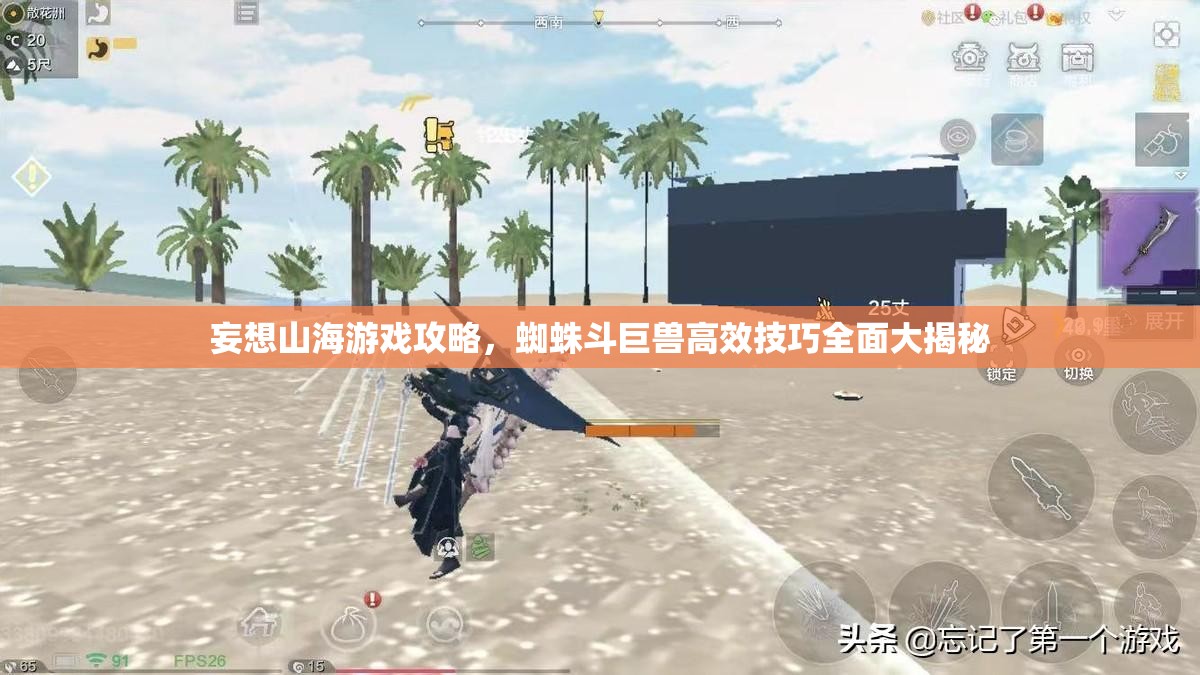 妄想山海游戏攻略，蜘蛛斗巨兽高效技巧全面大揭秘