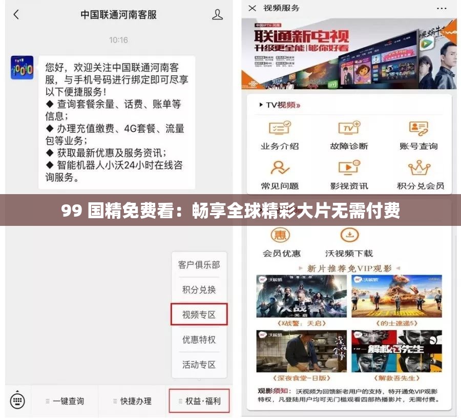 99 国精免费看：畅享全球精彩大片无需付费
