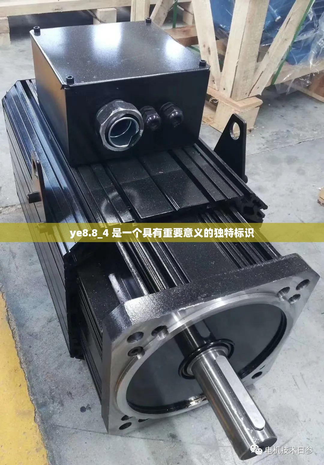 ye8.8_4 是一个具有重要意义的独特标识