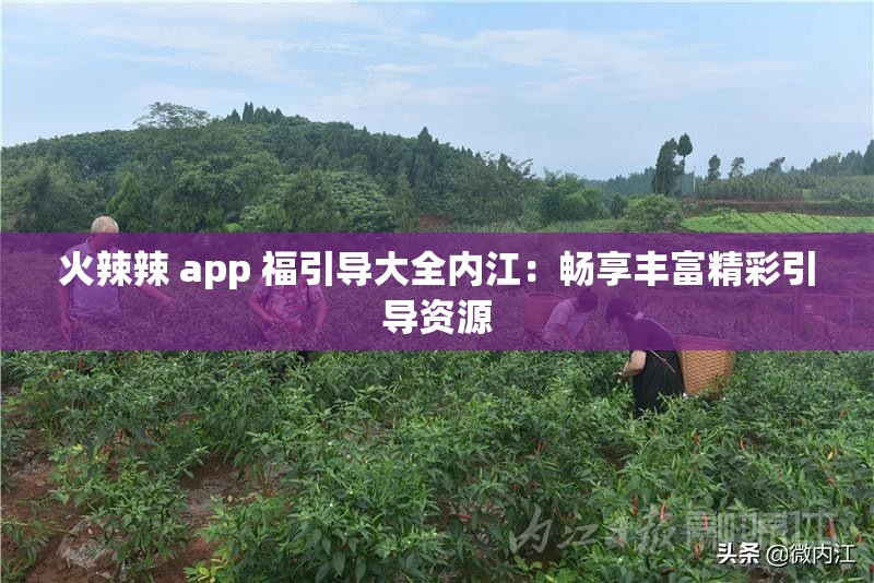 火辣辣 app 福引导大全内江：畅享丰富精彩引导资源