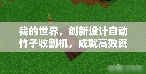 我的世界，创新设计自动竹子收割机，成就高效资源管理与采集的终极利器