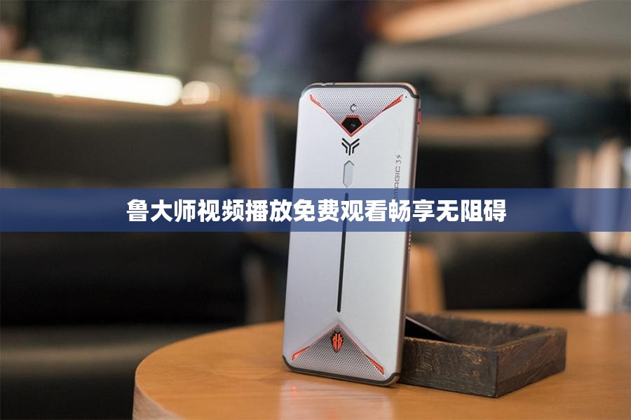 鲁大师视频播放免费观看畅享无阻碍