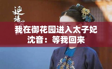 我在御花园进入太子妃沈音：等我回来
