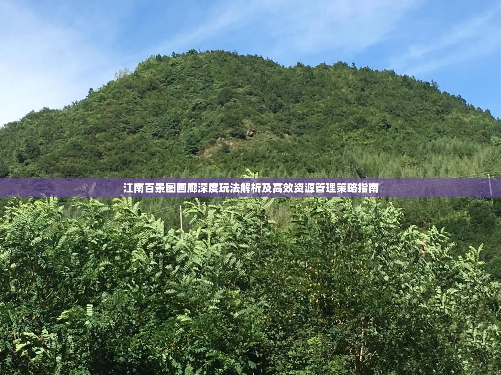 江南百景图画廊深度玩法解析及高效资源管理策略指南