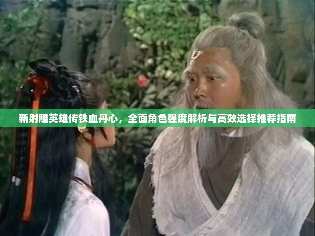 新射雕英雄传铁血丹心，全面角色强度解析与高效选择推荐指南