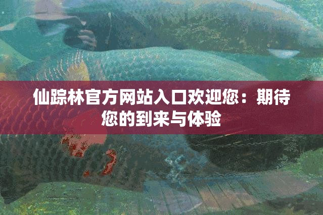 仙踪林官方网站入口欢迎您：期待您的到来与体验