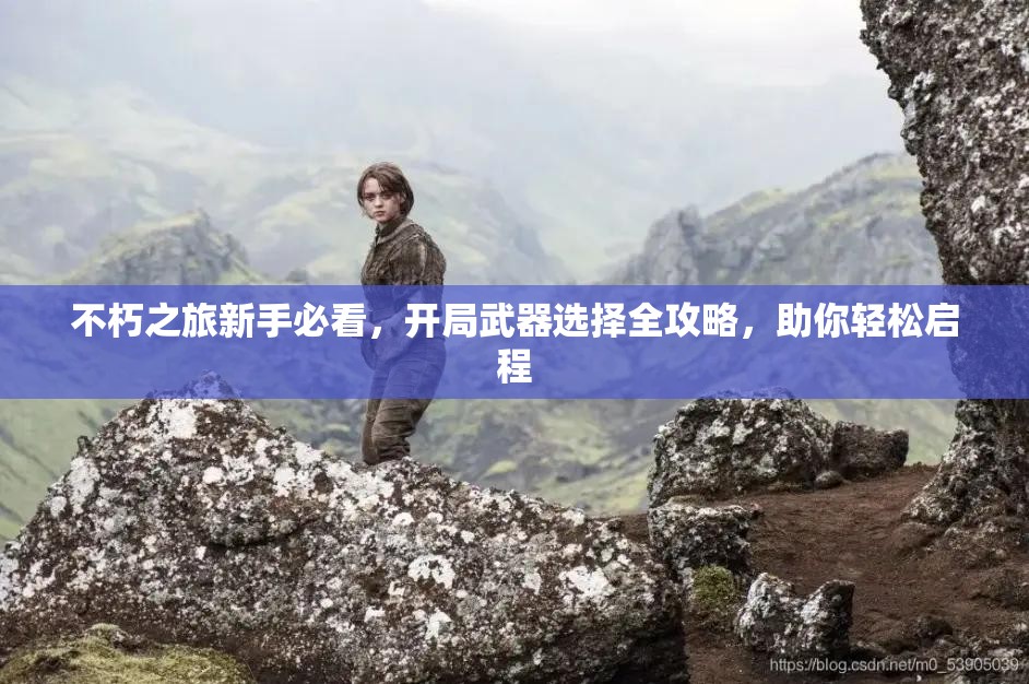 不朽之旅新手必看，开局武器选择全攻略，助你轻松启程