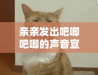 亲亲发出吧唧吧唧的声音宣布增高画质：带来全新视觉体验