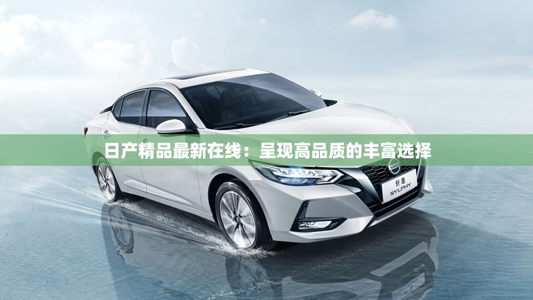 日产精品最新在线：呈现高品质的丰富选择