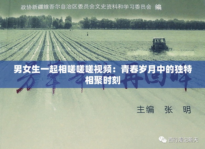 男女生一起相嗟嗟嗟视频：青春岁月中的独特相聚时刻