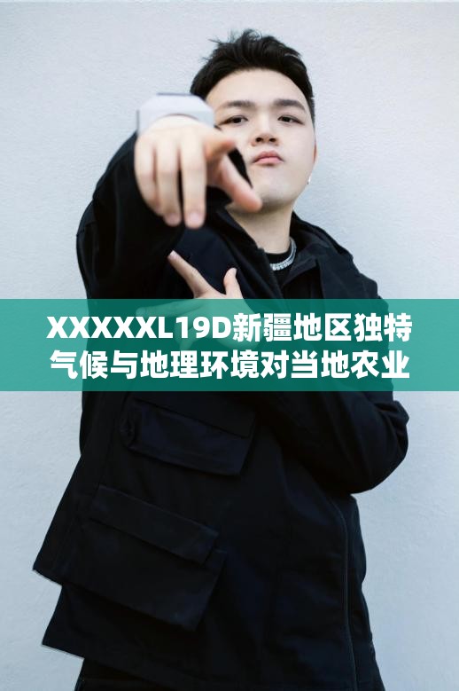 XXXXXL19D新疆地区独特气候与地理环境对当地农业发展的影响探析